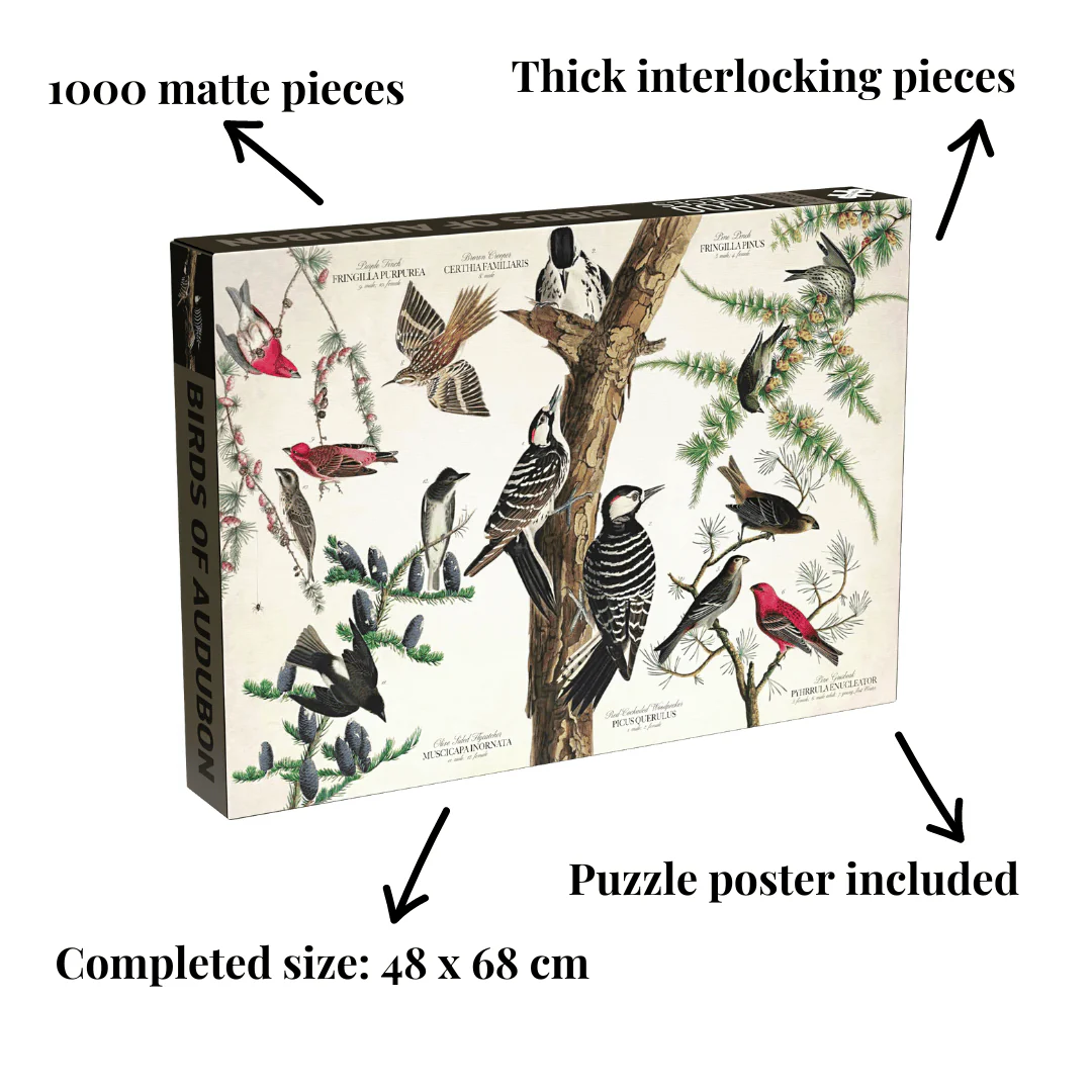 Pikkukuva 2